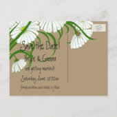  Wit Gerber Daisy Flowers Save the Date Aankondigingskaart (Achterkant)