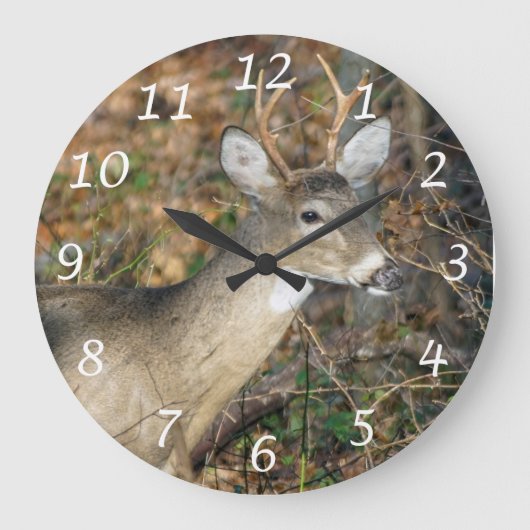 Wit-getrainde Duck Wall Clock Grote Klok (Voorkant)