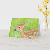 Wit-getrapt deer Fawn | Minnesota Kaart (Gele Bloem)