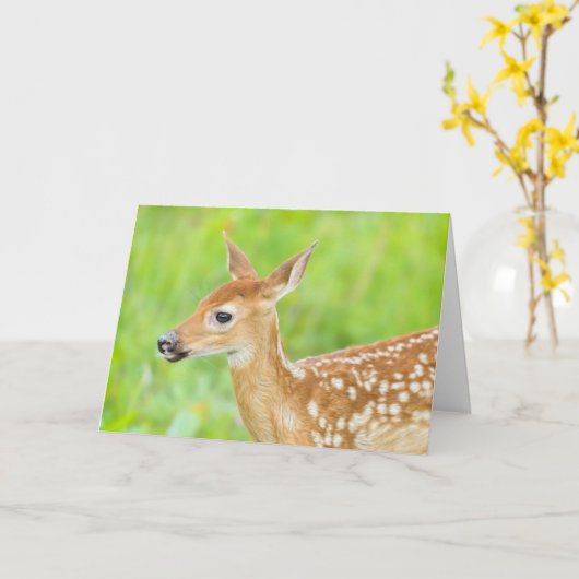 Wit-getrapt deer Fawn | Minnesota Kaart (Gele Bloem)