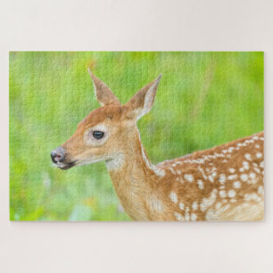 Wit-getrapt deer Fawn Minnesota Legpuzzel