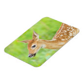 Wit-getrapt deer Fawn | Minnesota Magneet (Linkerzijde)