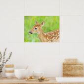 Wit-getrapt deer Fawn | Minnesota Poster (Keuken)