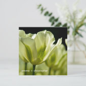 Wit & Groen Variabele Tulips DSC0856 Save The Date (Staand voorkant)