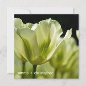 Wit & Groen Variabele Tulips DSC0856 Save The Date (Voorkant)