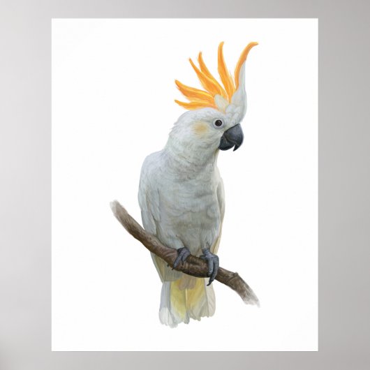 Wit handgetrokken Poster (Voorkant)