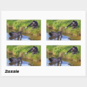 Wit-handig gibbon- en zwarte-zwanenbriefkaart rechthoekige sticker (Vel)