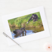 Wit-handig gibbon- en zwarte-zwanenbriefkaart rechthoekige sticker (Envelop)