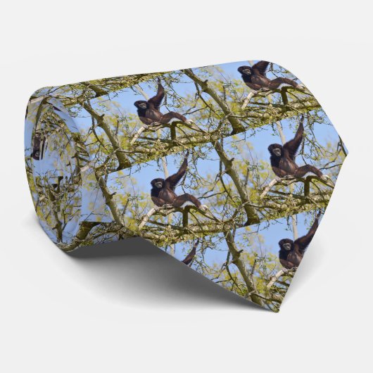 Wit-handig lintje in boom stropdas (Opgerold)