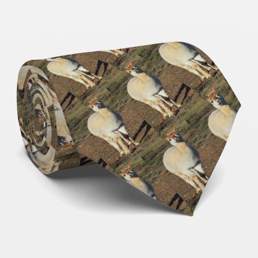 Wit Happy Big Wooly Alpaca, Stropdas (Opgerold)