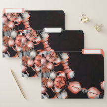 "Wit hart in zwart van de zon"