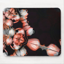 "Wit hart in zwart van de zon"