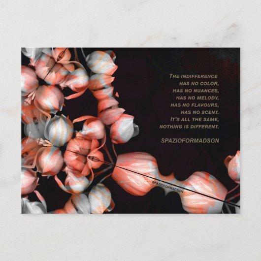 "Wit hart in zwart van de zon" & Onverschilligheid Briefkaart (Voorkant)