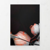 "Wit hart in zwart van de zon" & Onverschilligheid Drieluik Wenskaart (Cover)