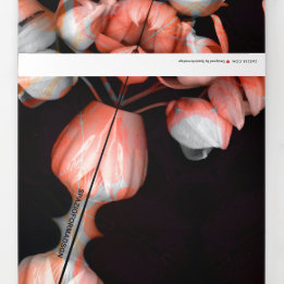 "Wit hart in zwart van de zon" & Stilte Drieluik Wenskaart