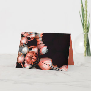 "Wit hart in zwart van zon" & Reis Kaart