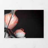 "Wit hart in zwart van zon" & Tijd Drieluik Wenskaart (Cover)