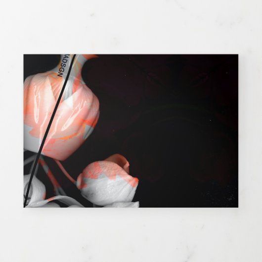 "Wit hart in zwart van zon" & Tijd Drieluik Wenskaart (Cover)