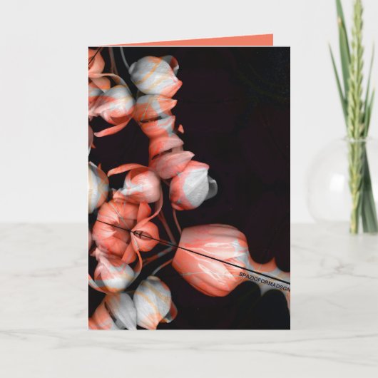 "Wit hart in zwart van zon" & Tijd Kaart (Voorkant)