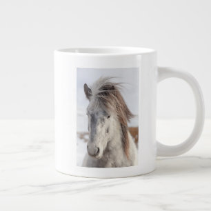 Wit hoofdschot van IJslands paard Grote Koffiekop