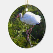 Wit Ibis Ornament (Links)