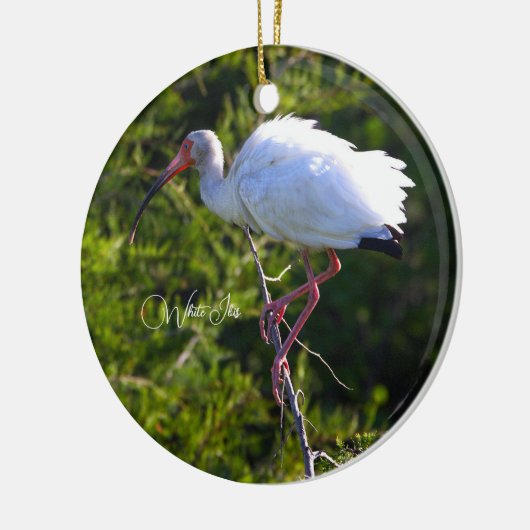 Wit Ibis Ornament (Links)