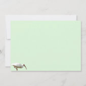 Wit ibis vlak Wenskaart Kaart (Achterkant)