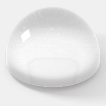 Wit Igloo Paperweight
