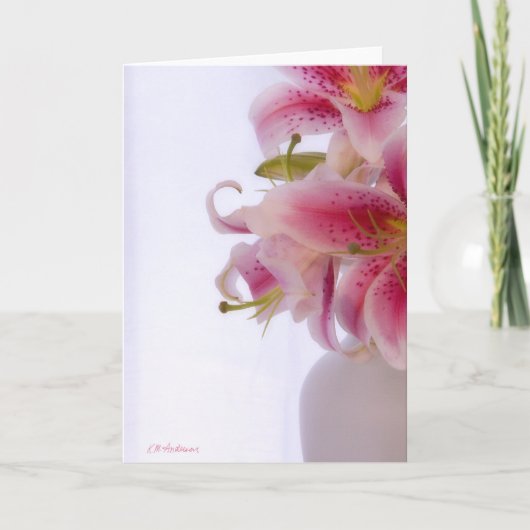 Wit III van de dromer Kaart (Voorkant)