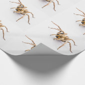 WIT INP AKPAPPER MET RIJEN SPINNEN. CADEAUPAPIER (Hoek)