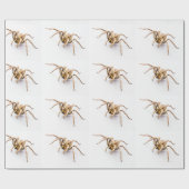 WIT INP AKPAPPER MET RIJEN SPINNEN. CADEAUPAPIER (Vlak)