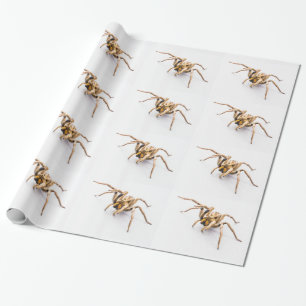 WIT INP AKPAPPER MET RIJEN SPINNEN. CADEAUPAPIER