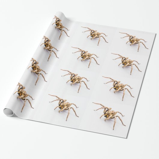 WIT INP AKPAPPER MET RIJEN SPINNEN. CADEAUPAPIER (Uitgerold)