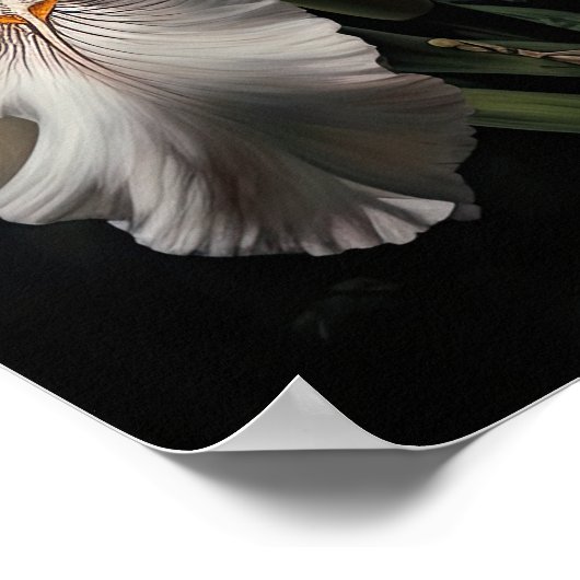 Wit Iris Flowers Art Print Poster (Hoek)