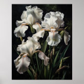 Wit Iris Flowers Art Print Poster (Voorkant)