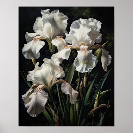 Wit Iris Flowers Art Print Poster (Voorkant)