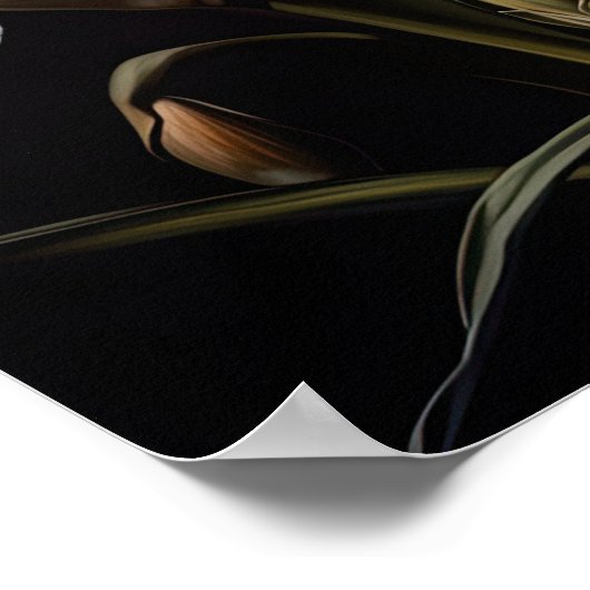 Wit Iris Flowers Art Print Poster (Hoek)