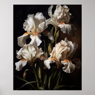 Wit Iris Flowers Art Print Poster