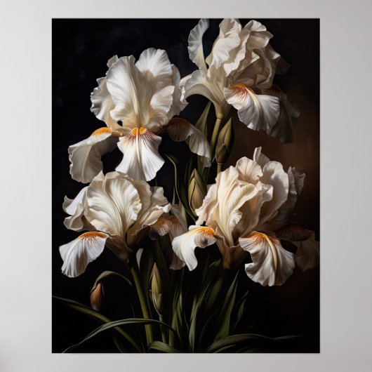 Wit Iris Flowers Art Print Poster (Voorkant)