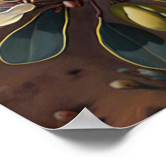 Wit Jojoba Bloemkunst Print Poster (Hoek)