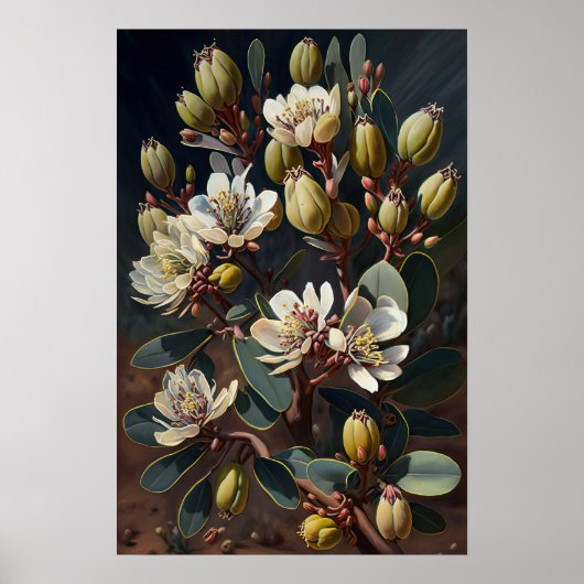 Wit Jojoba Bloemkunst Print Poster (Voorkant)