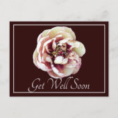 Wit & Karmozijnrode Pioen Wijn Achtergrond Betersc Briefkaart (Voorkant)