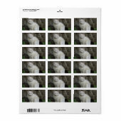 Wit kat-adreslabel etiket (Full Sheet)