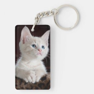 Wit kat blauw ogen sleutelhanger