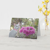 Wit Katje en de Roze Kaart van Anjers (Gele Bloem)