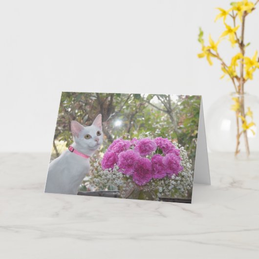 Wit Katje en de Roze Kaart van Anjers (Gele Bloem)