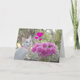 Wit Katje en Roze Anjers Valentijn Feestdagen Kaart
