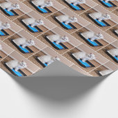 Wit katje in blauwe verf cadeaupapier (Hoek)