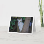 Wit katje in boom portret kaart (Voorkant)