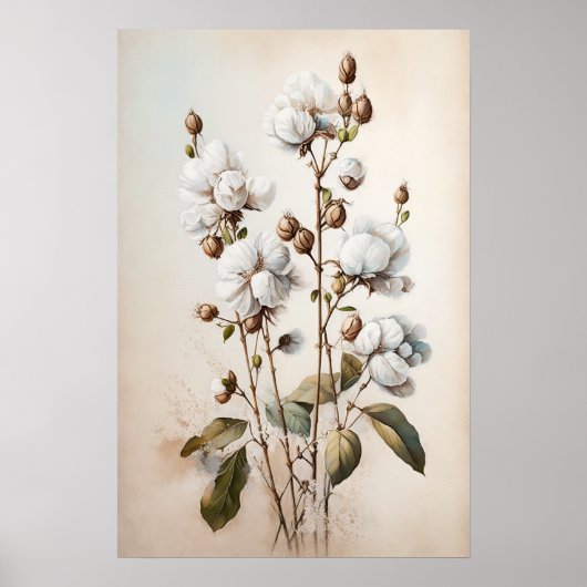 Wit Katoenen Bloemen Art Print Poster (Voorkant)